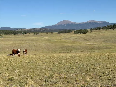 3 Ranch, Hartsel, CO 80449 photo 15
