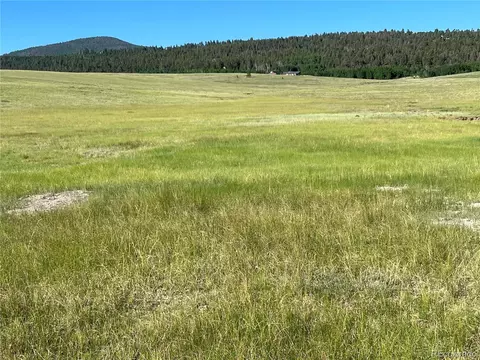 3 Ranch, Hartsel, CO 80449 photo 27