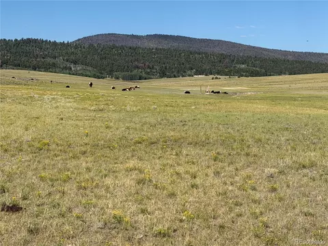 3 Ranch, Hartsel, CO 80449 photo 9
