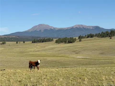 3 Ranch, Hartsel, CO 80449 photo 12