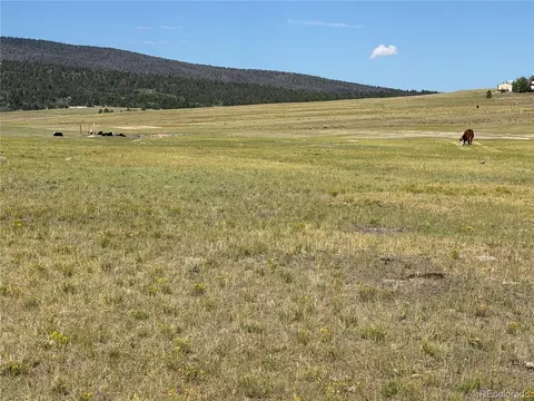 3 Ranch, Hartsel, CO 80449 photo 10
