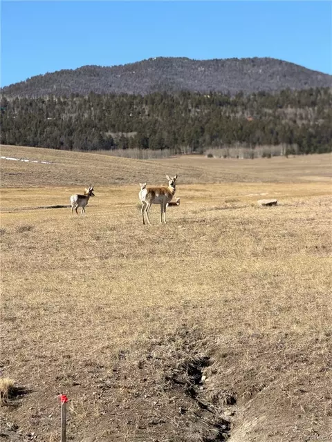 3 Ranch, Hartsel, CO 80449 photo 5