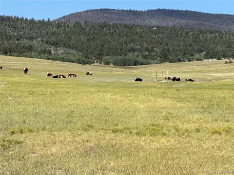 3 Ranch, Hartsel, CO 80449 photo 7