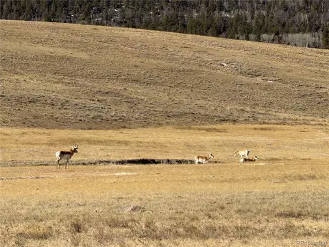 3 Ranch, Hartsel, CO 80449 photo 3