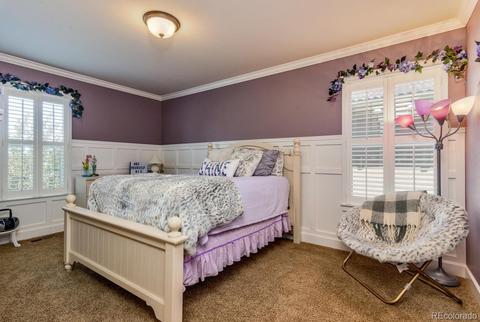10378 E 28th Ave, Denver, CO 80238 photo 21