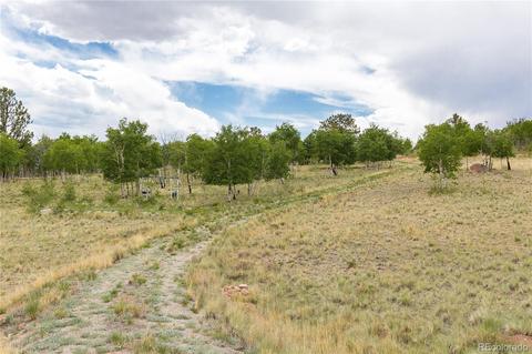 458 Bob White Cir, Como, CO 80432 photo 13