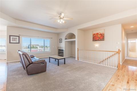 2173 Red Maple Cir, Parker, CO 80138 photo 20