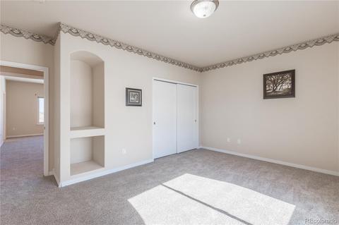 2173 Red Maple Cir, Parker, CO 80138 photo 28