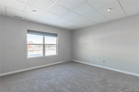 2173 Red Maple Cir, Parker, CO 80138 photo 39