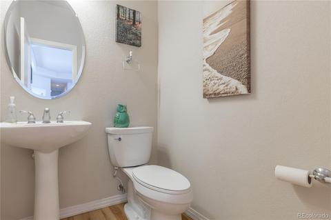 2173 Red Maple Cir, Parker, CO 80138 photo 25