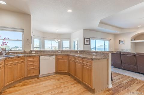 2173 Red Maple Cir, Parker, CO 80138 photo 22