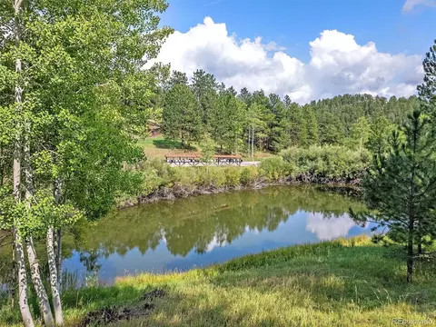 69 Chickadee Dr, Bailey, CO 80421 photo 42