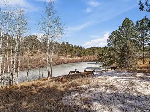 69 Chickadee Dr, Bailey, CO 80421 photo 33
