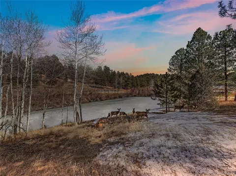 69 Chickadee Dr, Bailey, CO 80421 photo 2