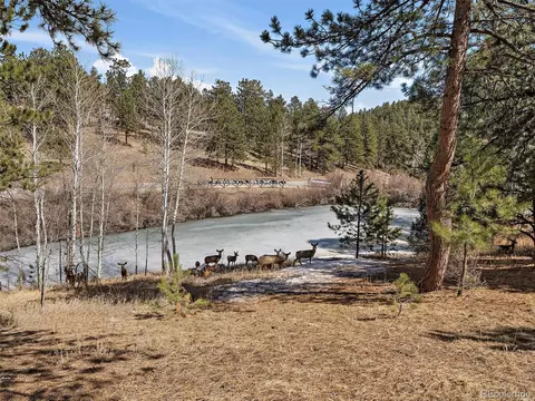 69 Chickadee Dr, Bailey, CO 80421 photo 5