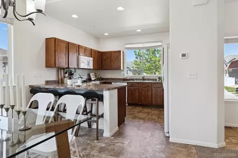 Other - 727 Elk Mountain Dr, Windsor, CO 80550 photo 1 of 8