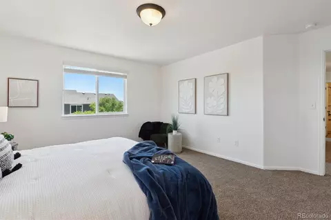 Bedroom - 727 Elk Mountain Dr, Windsor, CO 80550 photo 3 of 10