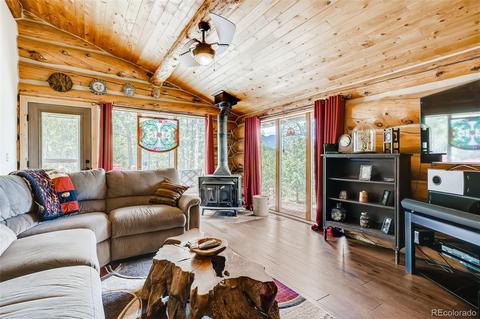 122 Spring Vly, Bailey, CO 80421 photo 6