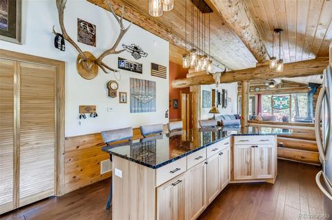 122 Spring Vly, Bailey, CO 80421 photo 8
