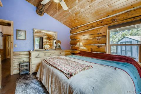 122 Spring Vly, Bailey, CO 80421 photo 12