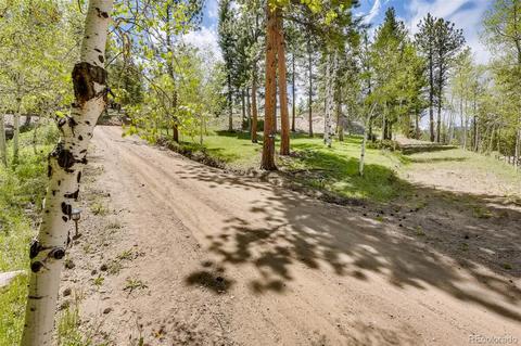 122 Spring Vly, Bailey, CO 80421 photo 29