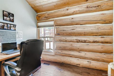 122 Spring Vly, Bailey, CO 80421 photo 15