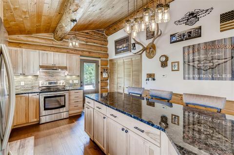 122 Spring Vly, Bailey, CO 80421 photo 9