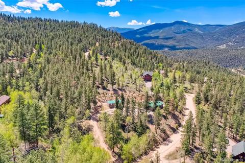 122 Spring Vly, Bailey, CO 80421 photo 30