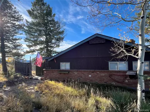 Exterior - 160 S Circle Dr, Bailey, CO 80421 photo 3 of 4