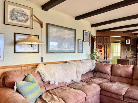 Living - 160 S Circle Dr, Bailey, CO 80421 photo 3 of 5