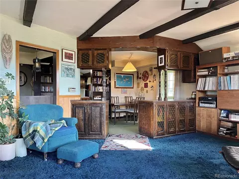 Other - 160 S Circle Dr, Bailey, CO 80421 photo 4 of 10