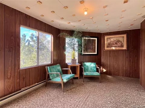 Living - 160 S Circle Dr, Bailey, CO 80421 photo 5 of 5