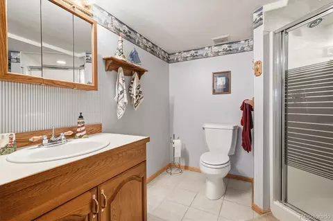 Bath - 410 Spring Dr, Pine, CO 80470 photo 5 of 5
