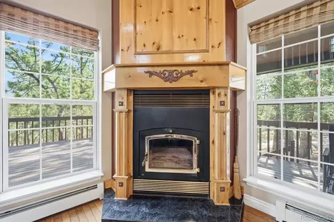 Other - 410 Spring Dr, Pine, CO 80470 photo 3 of 17