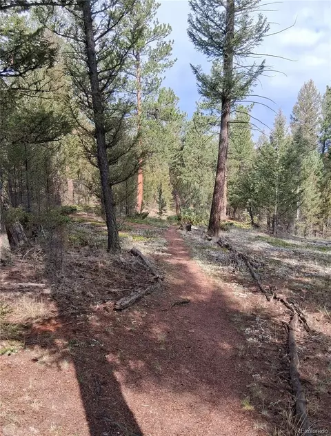 Other - 410 Spring Dr, Pine, CO 80470 photo 17 of 17