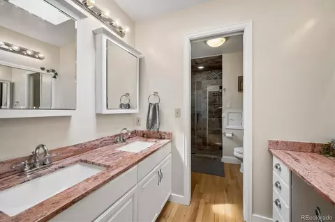 Bath - 410 Spring Dr, Pine, CO 80470 photo 3 of 4