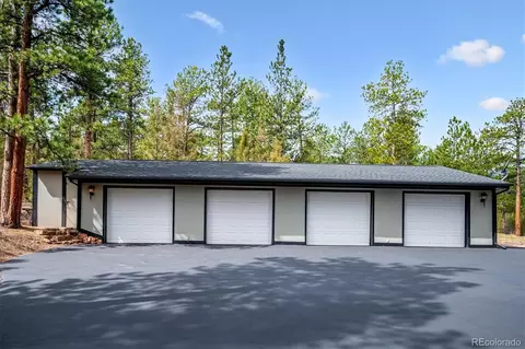 Exterior - 410 Spring Dr, Pine, CO 80470 photo 7 of 8