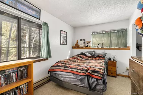 22296 Cook Ln, Morrison, CO 80465 photo 16