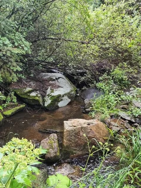 31429 Burke Rd, Golden, CO 80403