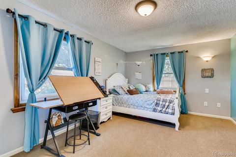 2882 E 117th Ct, Thornton, CO 80233 photo 13