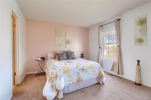 19268 E 22nd Dr, Aurora, CO 80011 photo 19