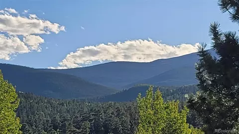 183 N Random Rd, Bailey, CO 80421 photo 24