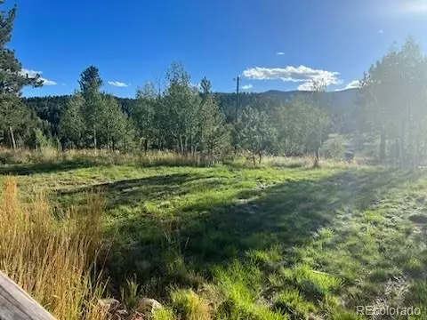183 N Random Rd, Bailey, CO 80421 photo 22