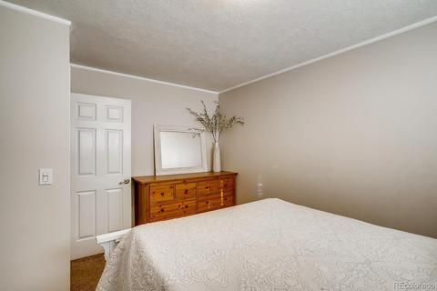 4682 S Yank St, Morrison, CO 80465 photo 23