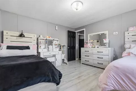 5237 E 96th Dr, Denver, CO 80229 photo 4