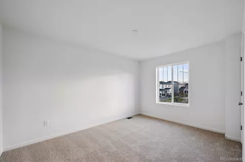 932 Steppe Ln, Windsor, CO 80550 photo 19