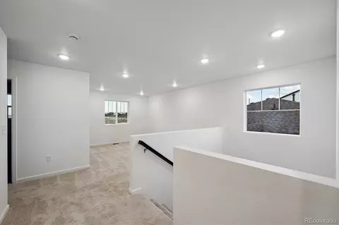 932 Steppe Ln, Windsor, CO 80550 photo 12