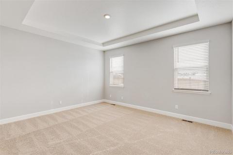 558 Fall River Ct, Brighton, CO 80601 photo 17