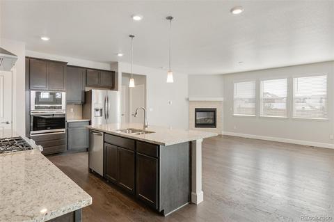 558 Fall River Ct, Brighton, CO 80601 photo 13