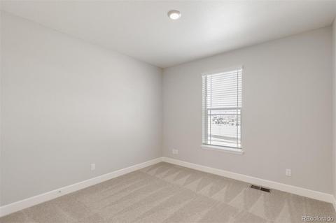 558 Fall River Ct, Brighton, CO 80601 photo 24